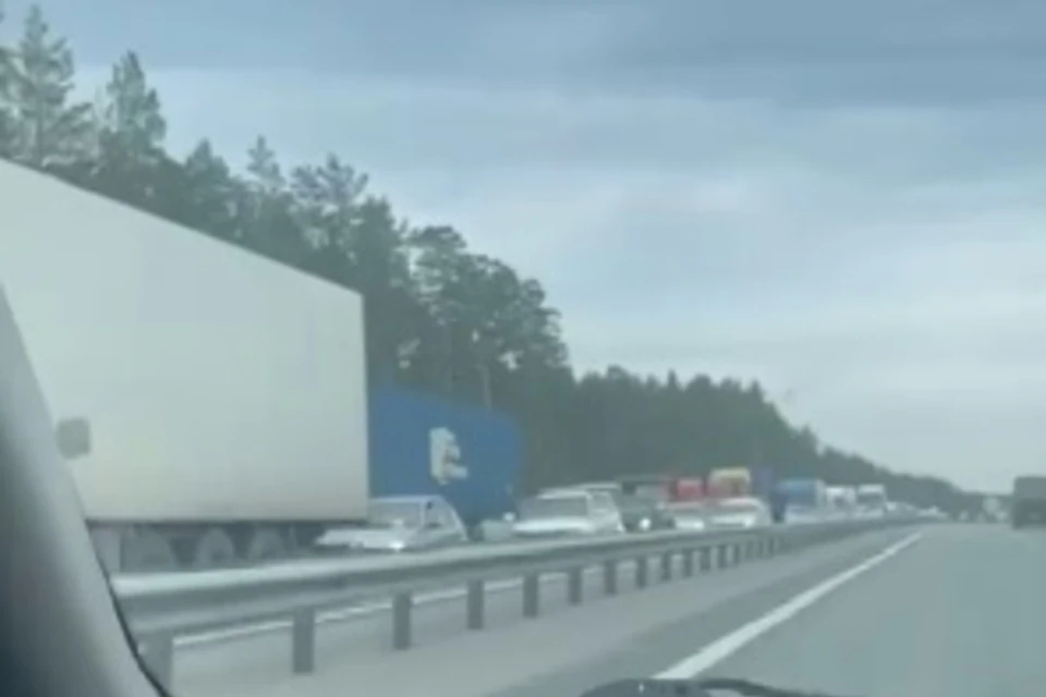 Скриншот с видео "В курсе 22 Барнаул"