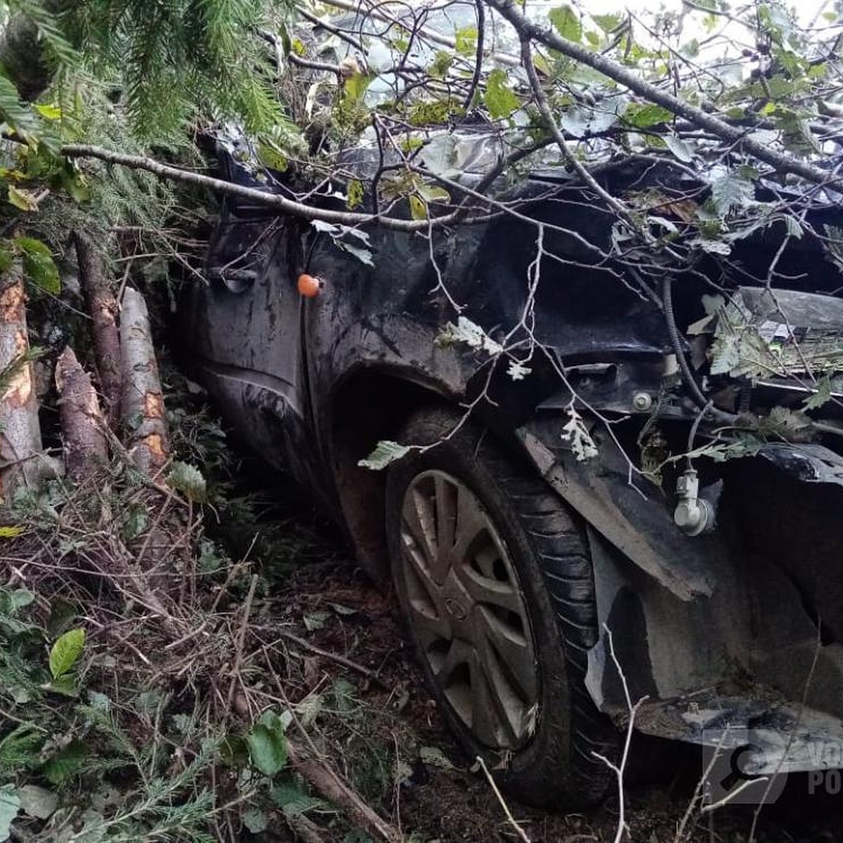 В Вологодской области мужчина разбился на 