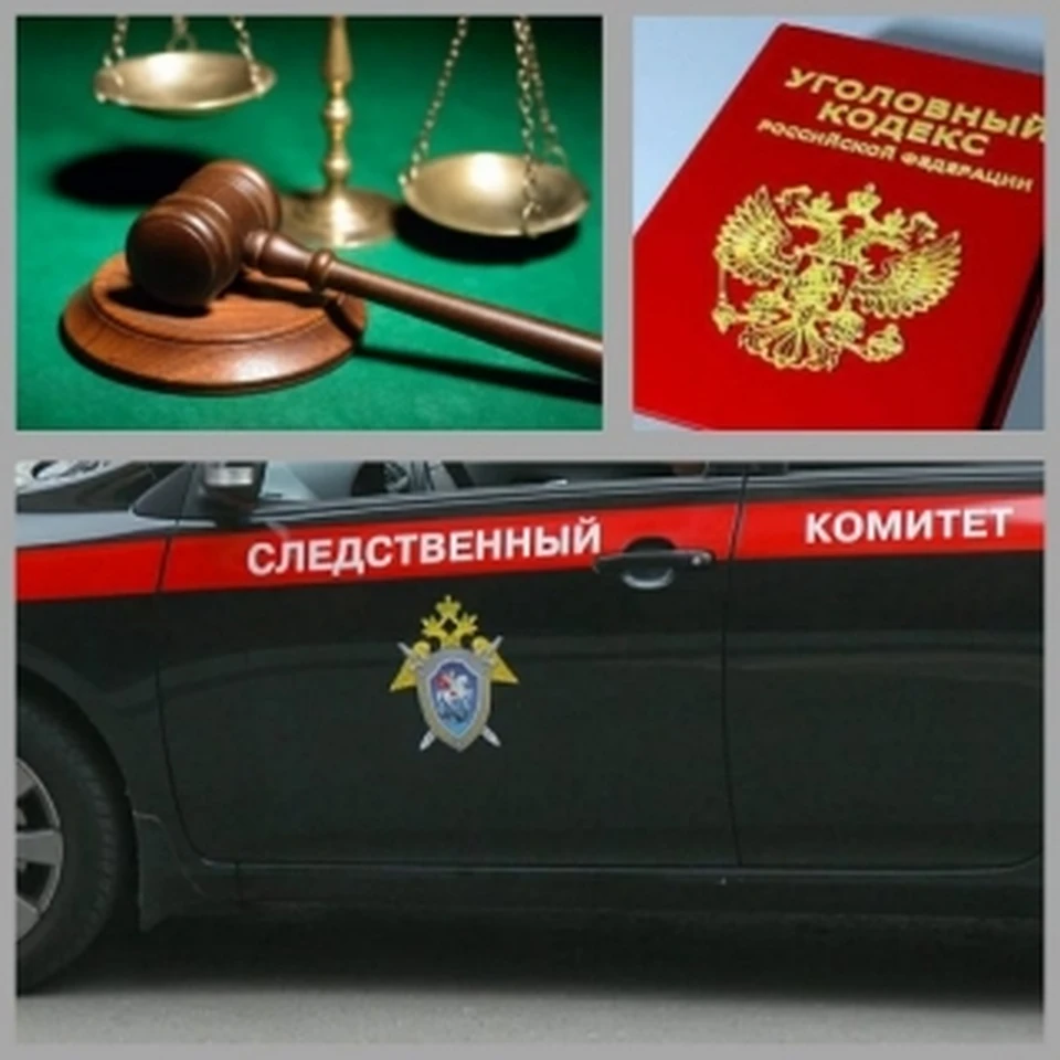 Фото: пресс-служба СУ СК России по Костромской области