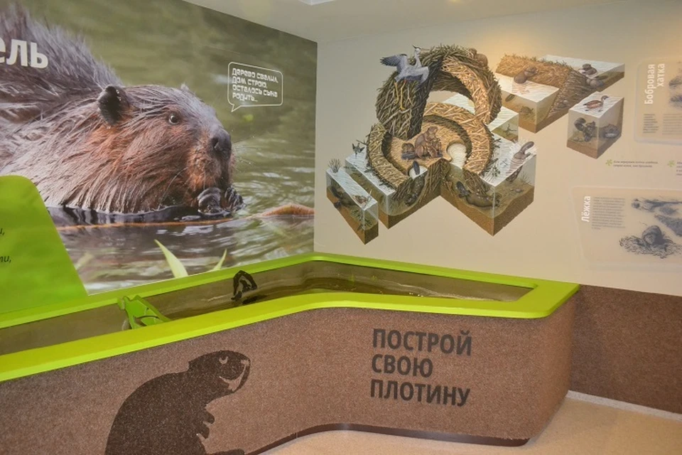 Фото с сайта Воронежского заповедника