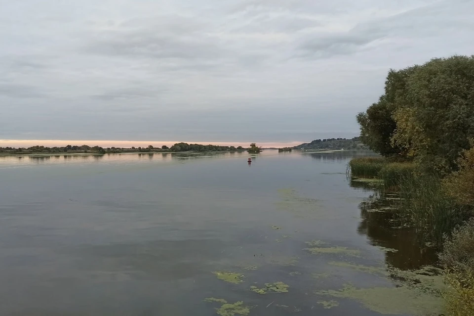 20 происшествий на водных объектах Рязанской области зарегистрировали в летний период 2021 года.