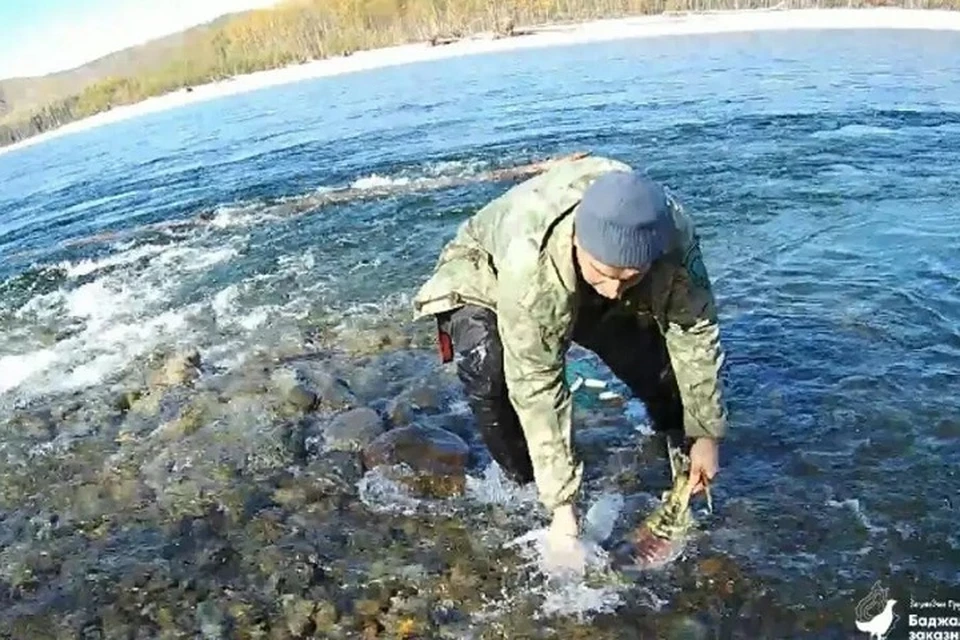 Комсомольский заповедник Хабаровский край