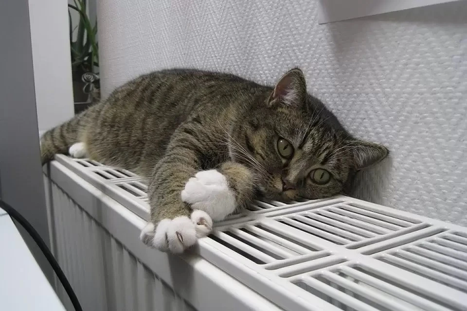 Отключения связаны с ремонтом.