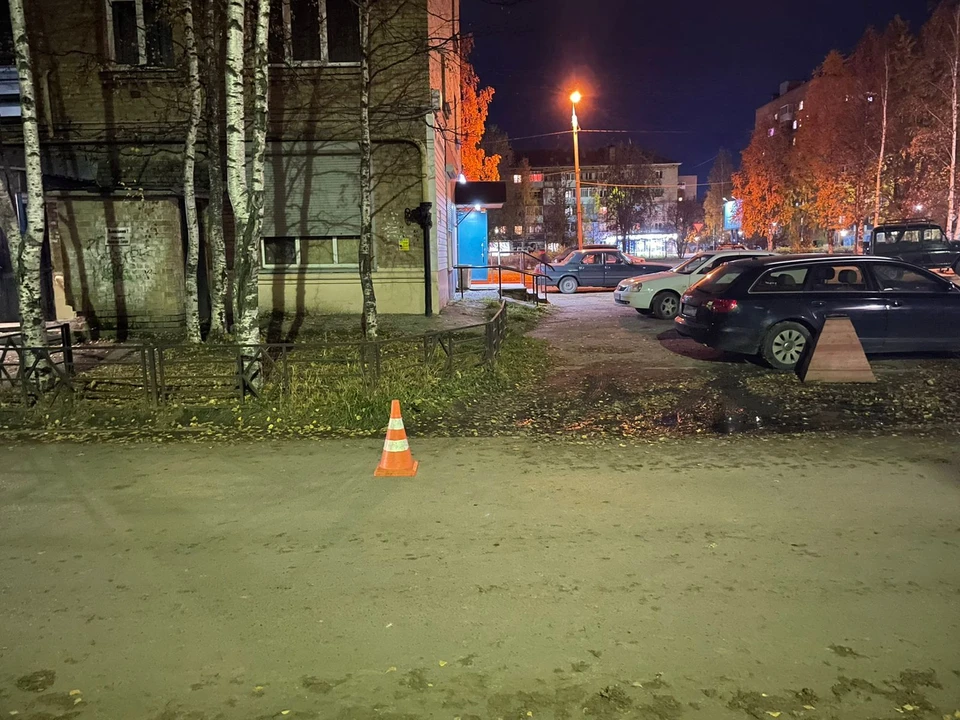 Фото: управление ГИБДД по Коми