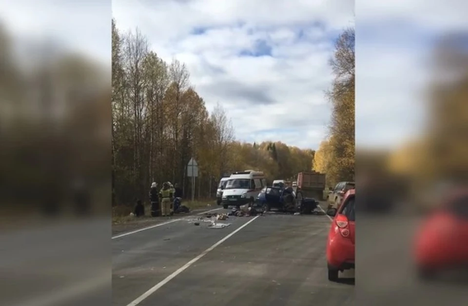 Фото: кадр видео vikiperm.com