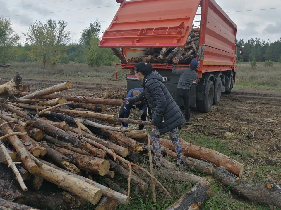 Фото с сайта управления лесхоза Воронежской области