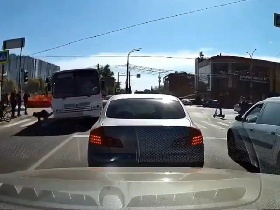 Фото: скрин видео transportkrdru