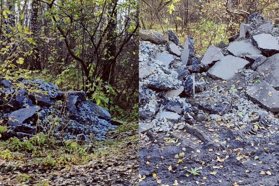 Новосибирцы пожаловали на незаконную свалку асфальта. Фото: "АСТ-54"