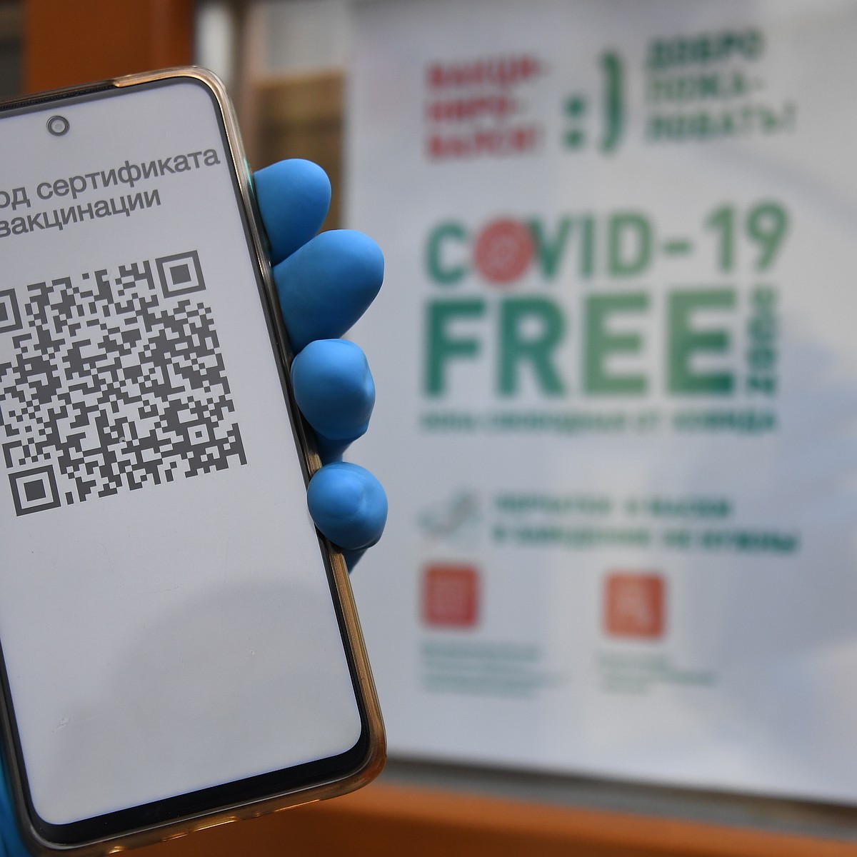 Последние новости Новосибирска на 13 октября 2021 года: ввели QR-коды,  кипяток залил улицу Кропоткина - KP.RU