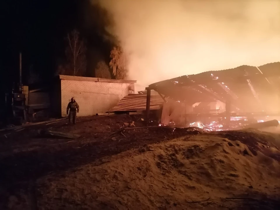 фото с сайта ГУ МЧС по Владимирской области