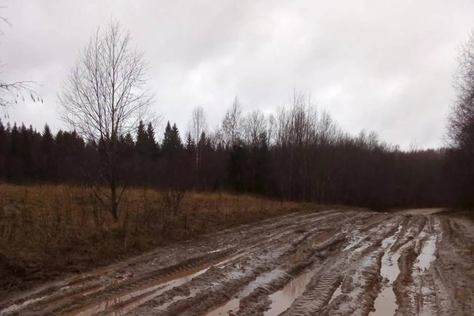 В Тверской области ожидается сильный дождь