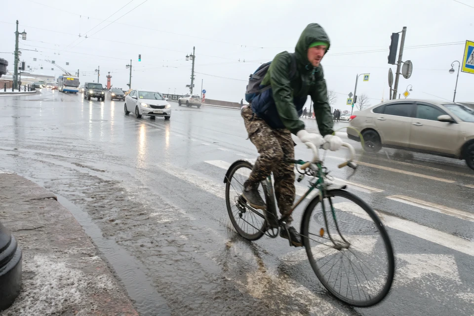 В Петербурге ждут мокрый снег с дождем.