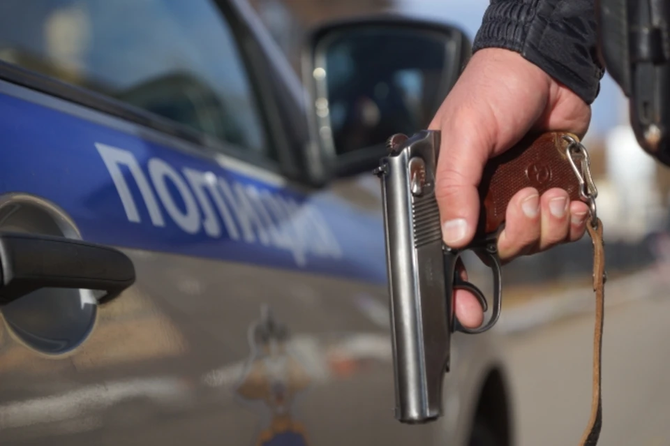 Житель Новосибирска пытался отобрать пистолет у полицейского и теперь пойдет под суд
