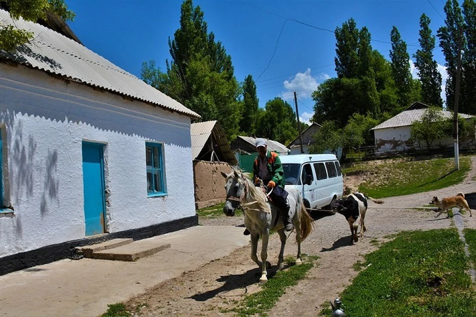 Основной целью запущенного в 2019 году проекта «Ауыл — Ел бесігі» является улучшение качества жизни на селе.