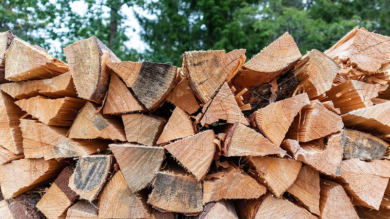 Только этого нам не хватало: В Молдове люди спешно кинулись скупать дрова,  но их и тут пытаются надуть, - рассказываем, как избежать обмана - KP.MD