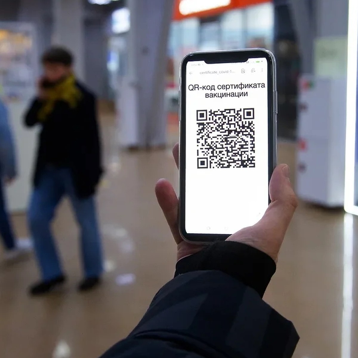 Жителям Петербурга будут выдавать бумажный QR-код без регистрации на  «Госуслугах» - KP.RU