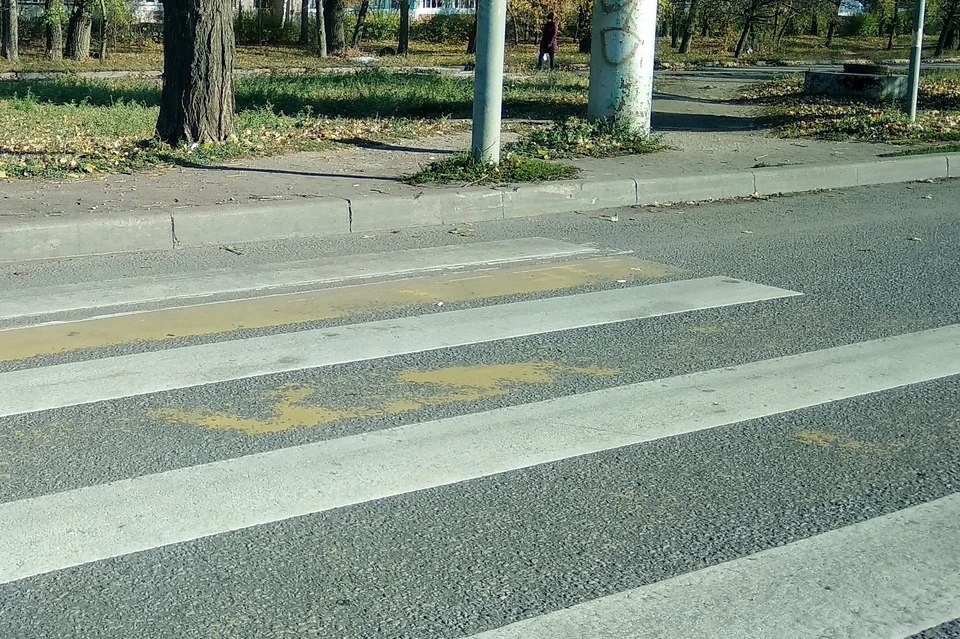 Водитель автобуса сбил школьника на пешеходном переходе в Липецке