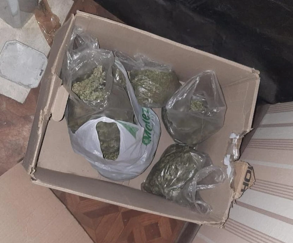 Фото: ГУ МВД по Челябинской области