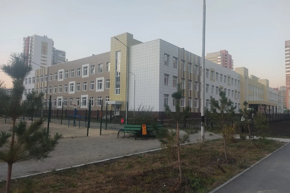 В школу "Академа" завезли оборудование и учебники