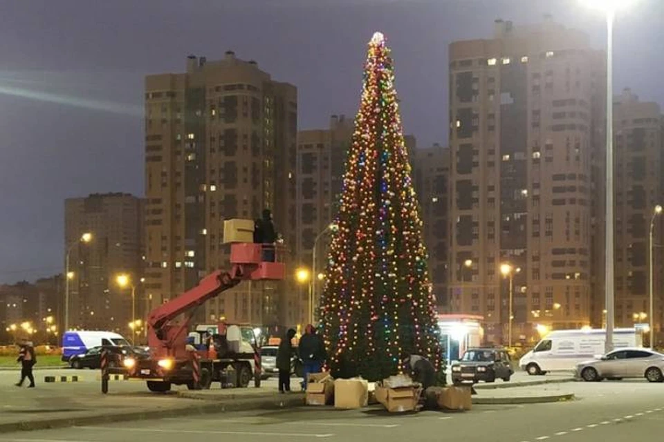 В Петербурге установили первую новогоднюю ель