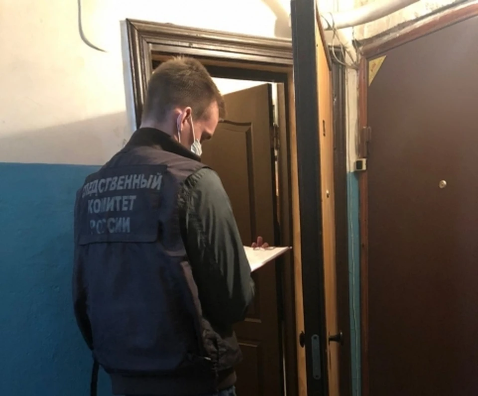Фото: СУ СК по Саратовской области