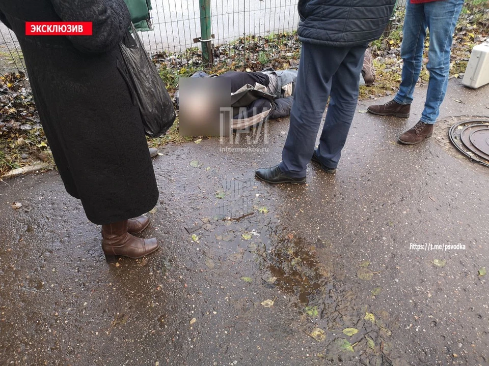Фото: Telegram-канал «Псковская сводка»
