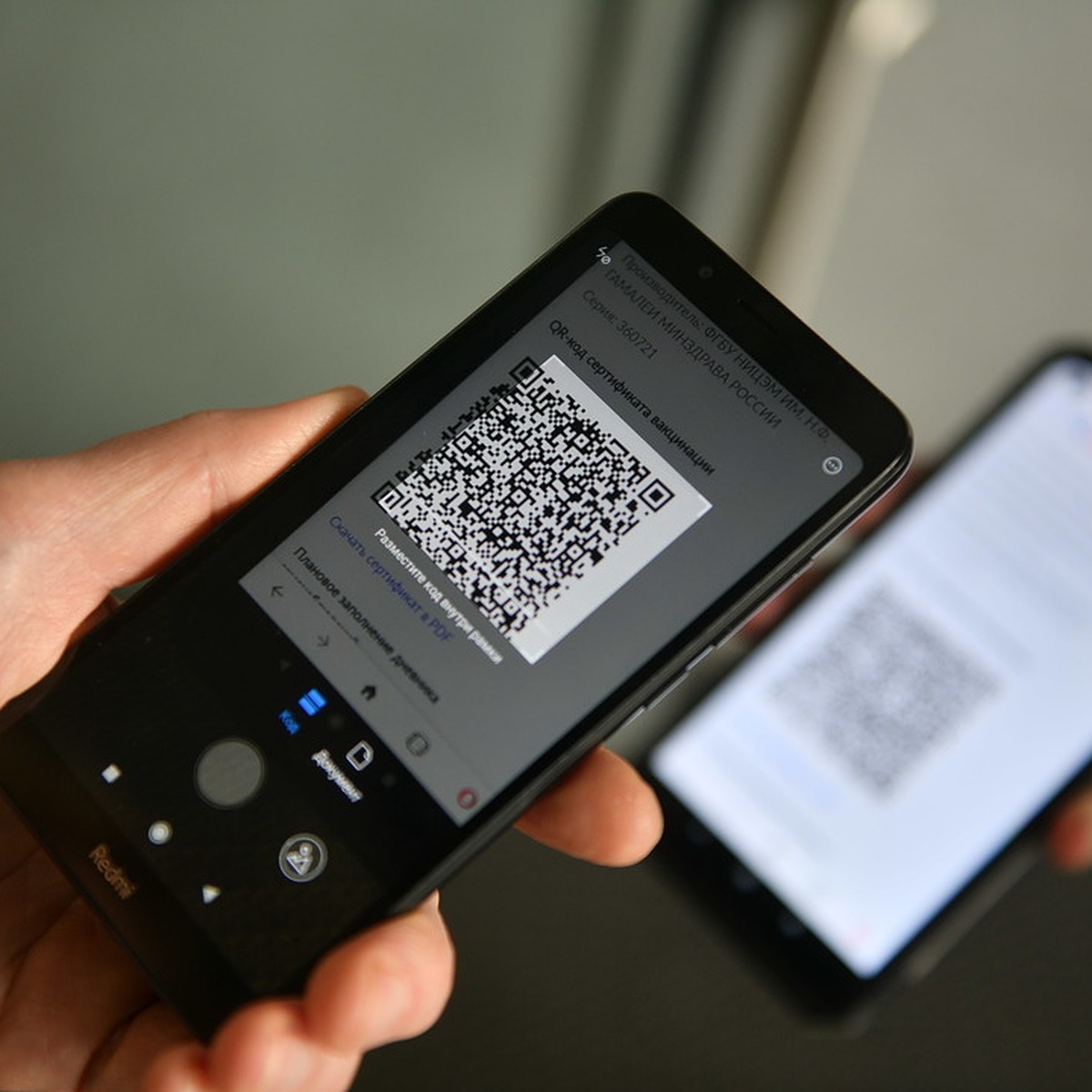 В Новосибирской области начала работать система QR-кодов для общепита -  KP.RU