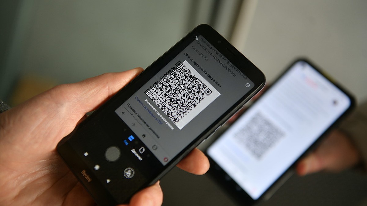 В Новосибирской области начала работать система QR-кодов для общепита -  KP.RU