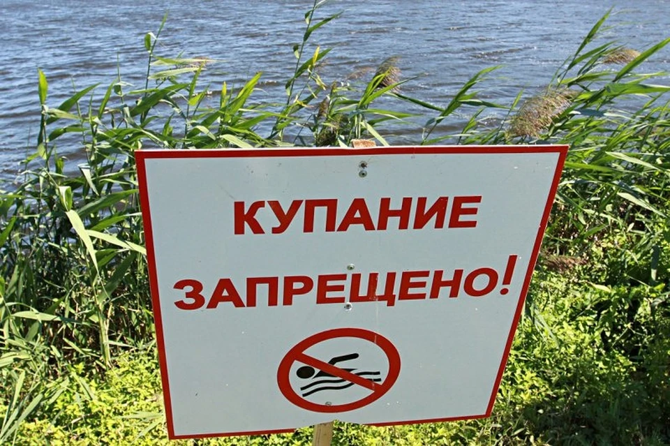 Тамбовчане пренебрегают запретами, за которые нет наказания