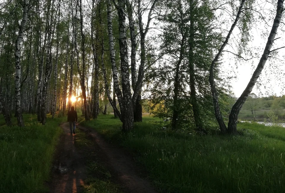 Нарко-курьеры попались, когда прятали закладки в лесополосе. Фото: архив "КП"