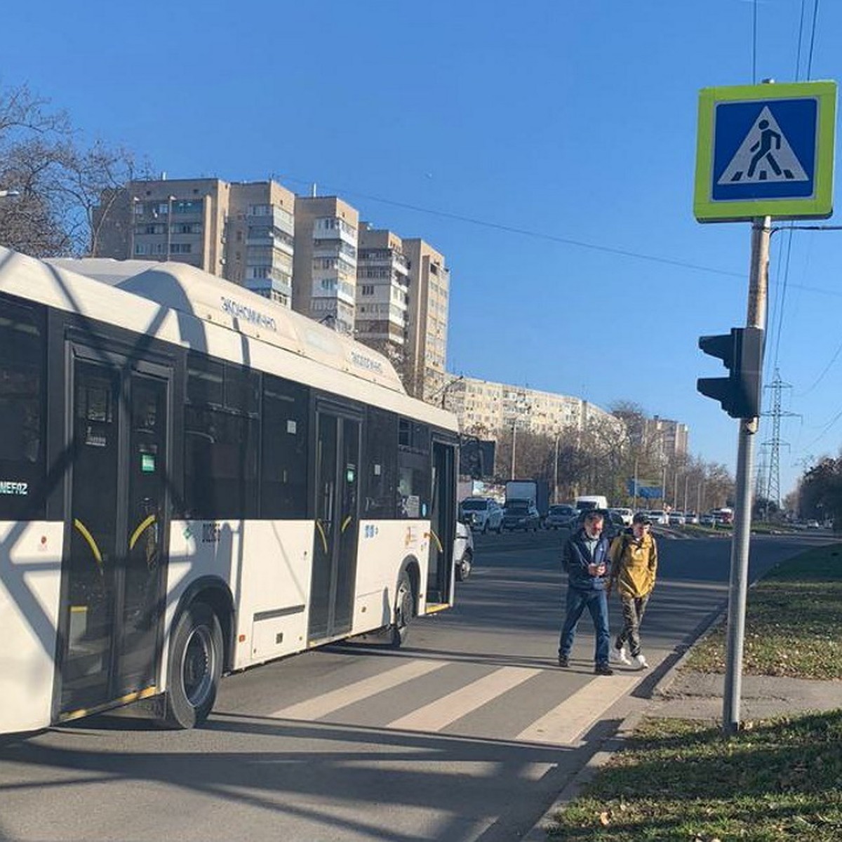 В Ростове на пешеходном переходе автобус сбил девушку, переходившую дорогу  на красный свет - KP.RU