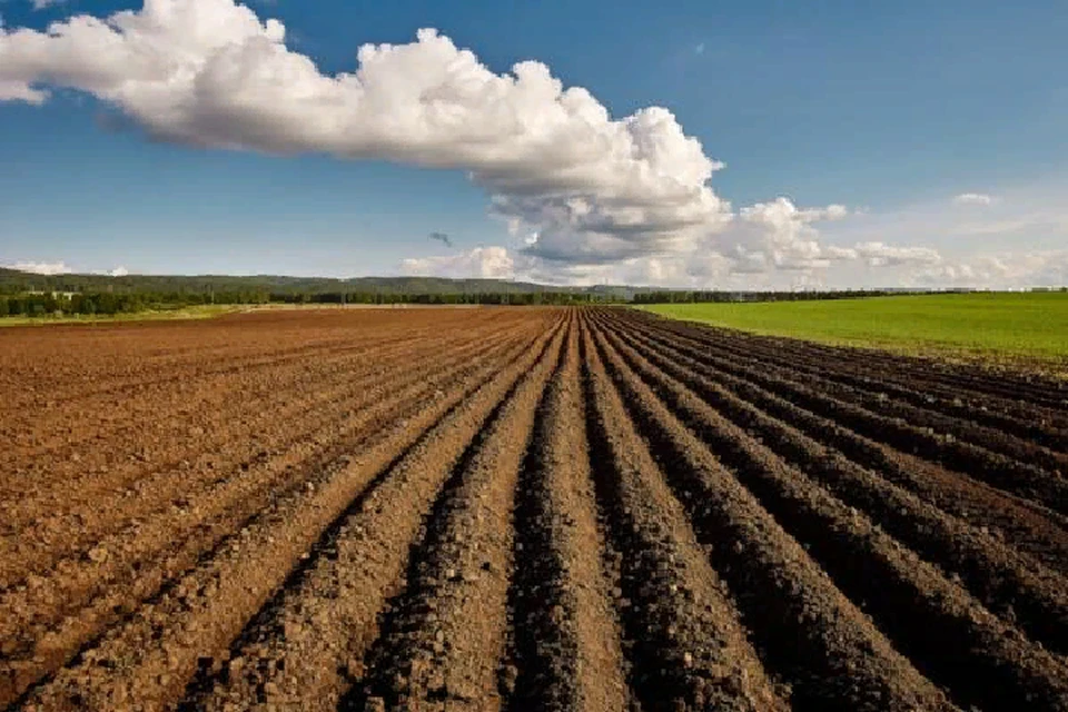 Мелиорация земель способствует улучшению плодородия почвы и росту урожайности. Фото: Минагропром ДНР
