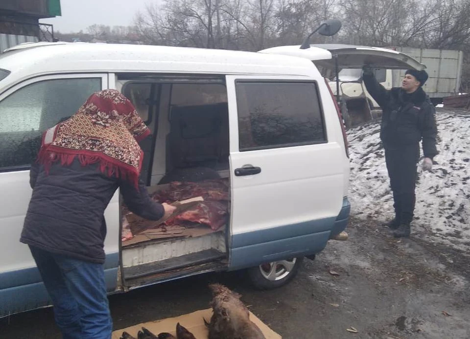 В Кузбассе двое мужчин добили и расчленили пострадавшего в ДТП лося. Фото: пресс-служба ДООЖМ Кузбасса.