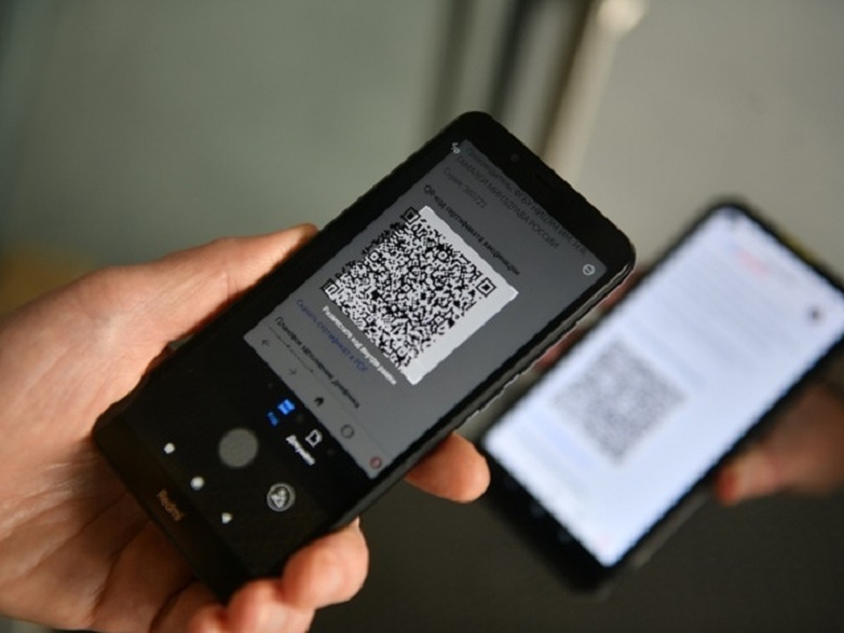 С 1 декабря при авиаперелетах жителям Хабаровского края потребуются QR-коды  - KP.RU