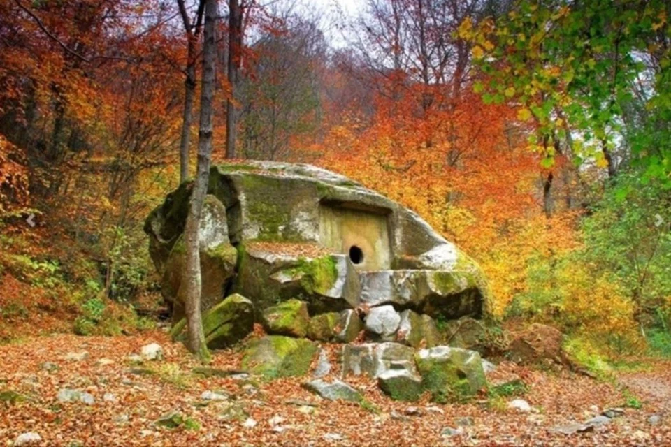 Национальный парк Сочи Фото: npsochi.ru