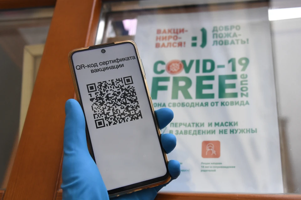 Новая профессия в Иркутске - QR-коды проверять
