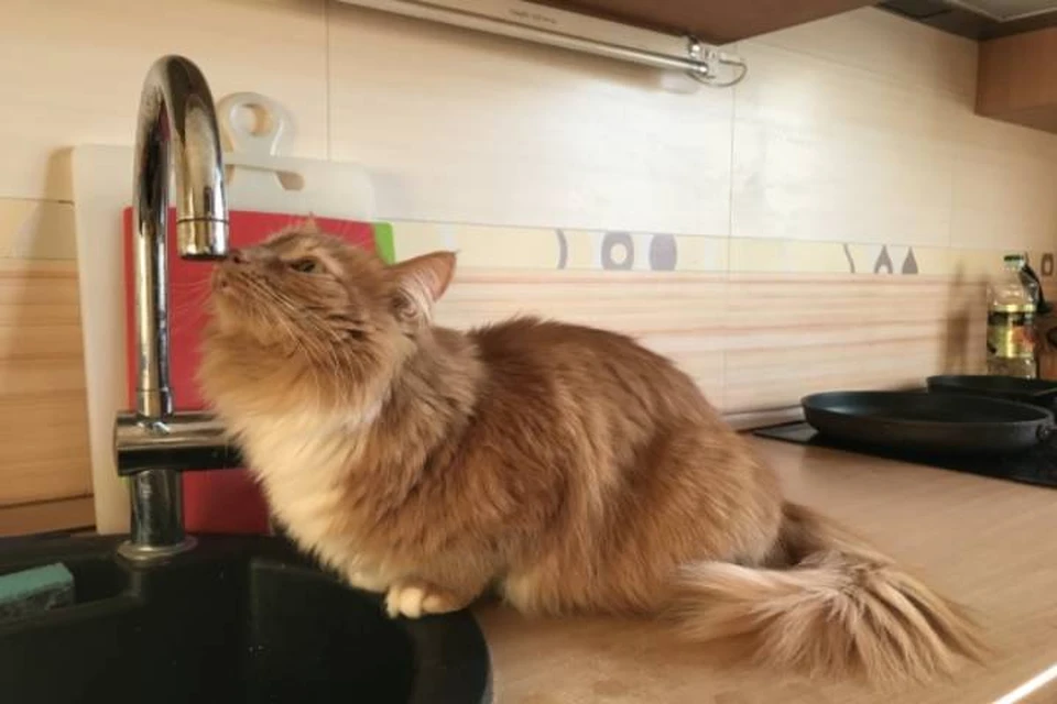 Причиной отключения воды послужила авария на теплосетях