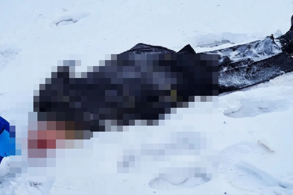 В Новосибирске школьница погибла под колесами поезда. Фото: АСТ-54".