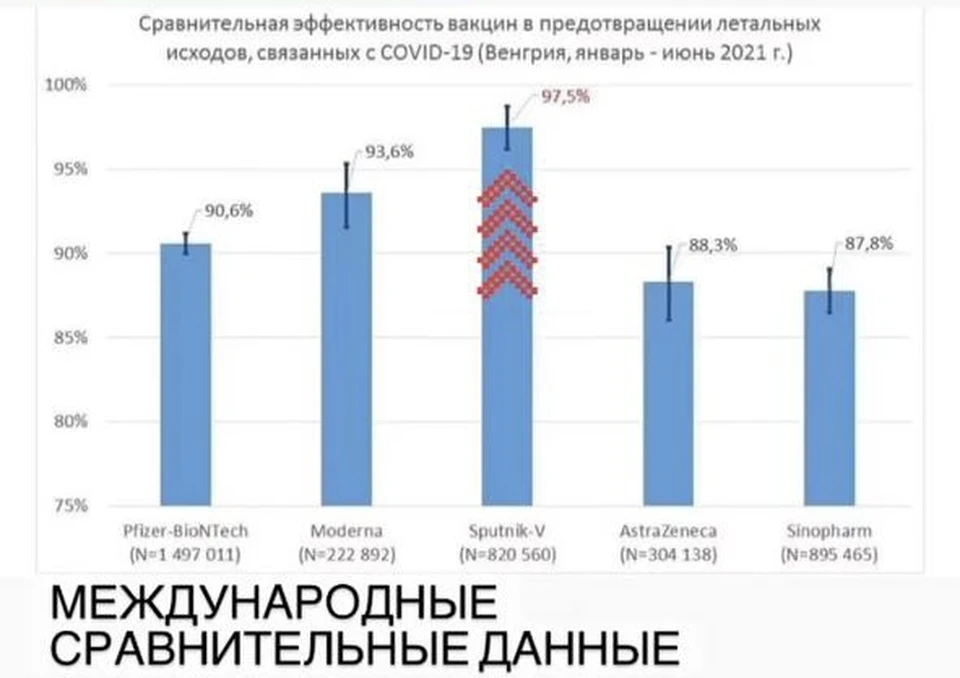 Мелик-Гусейнов назвал вакцину Спутник V лучшей защитой от смерти