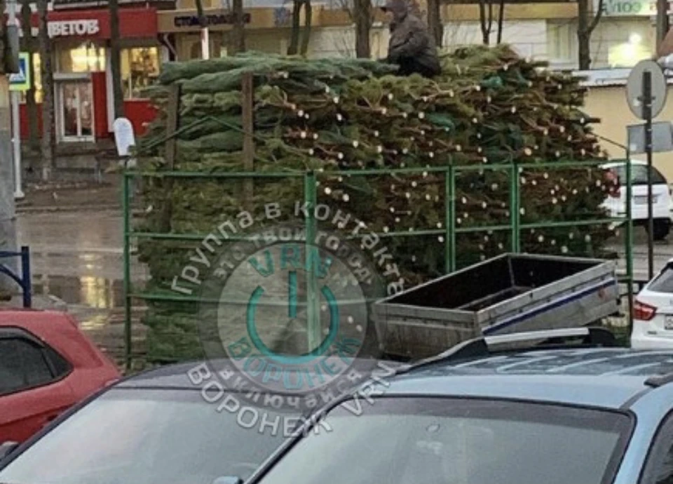 6 декабря воронеж. Базар воронежских ёлок. Елочный базар у града Воронеж.