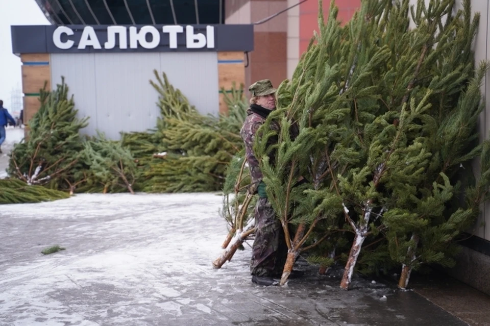 Купить елку в Омске можно уже с 1 декабря.