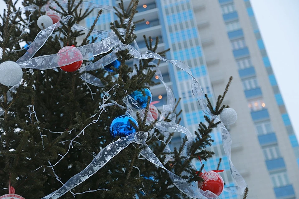 В Красноярске полным ходом идет возведение городских новогодних елок