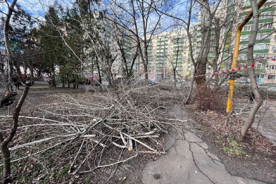 В Краснодаре устраняют последствия урагана