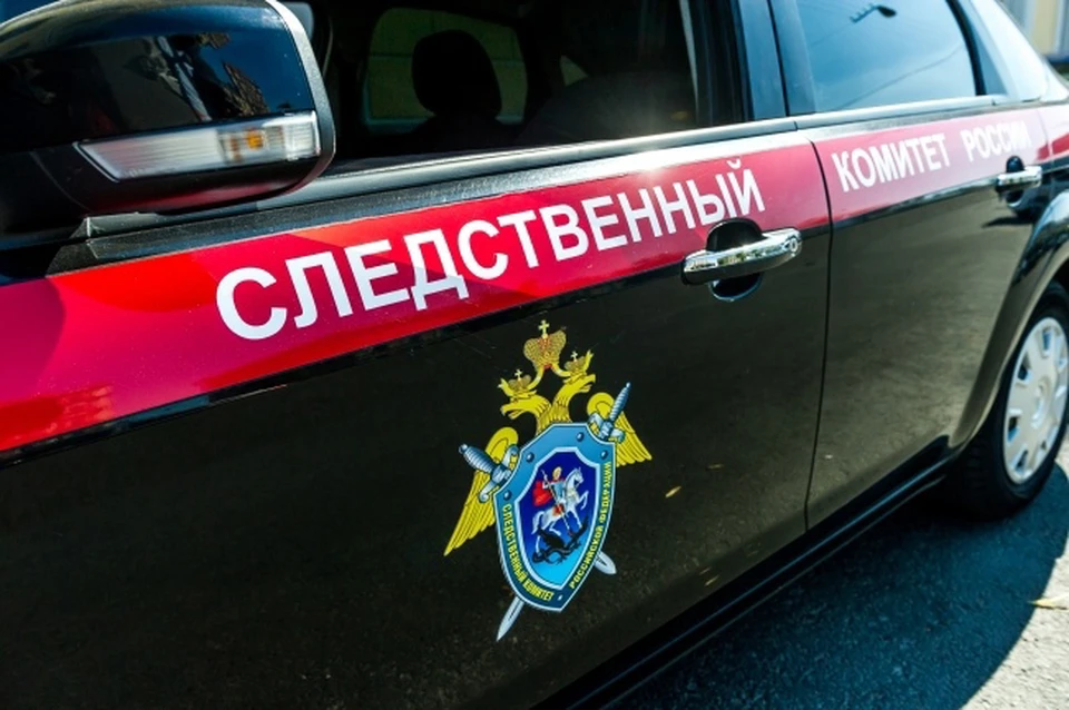 В Верхнеднепровском группа подростков напала на родителей подруги.