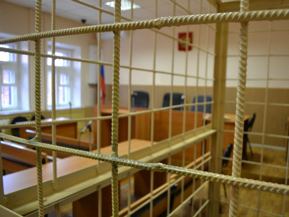 Женщина по приговору суда отправится в колонию на четыре года.