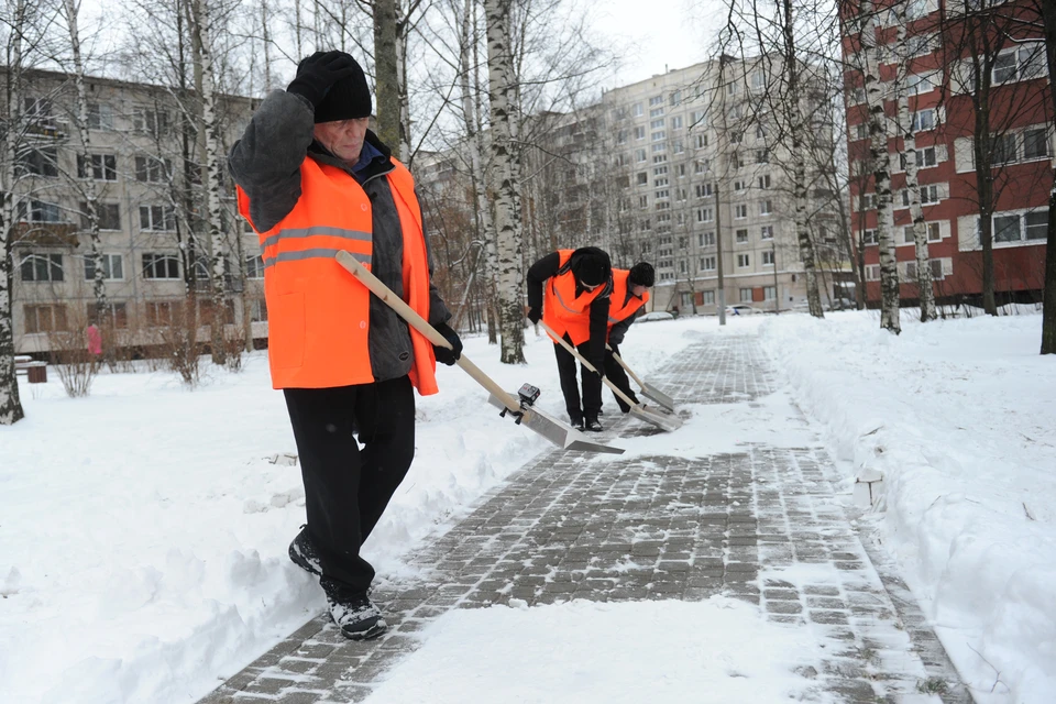 В Петербурге продолжают набирать волонтеров для помощи коммунальным службам в уборке снега.
