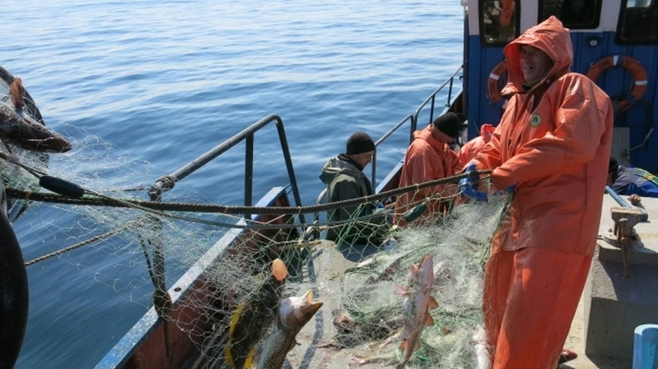 Успех рыбаков снизился к концу года - из-за закрытия китайских портов