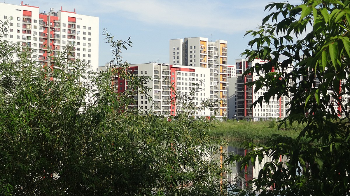 Квартира Перед Новым Годом
