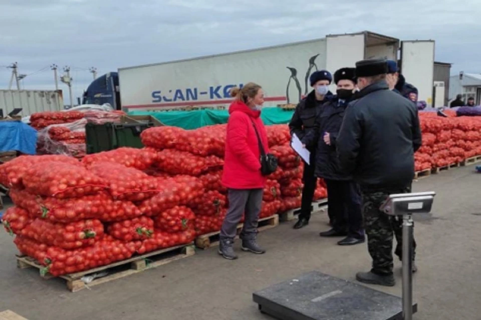 В Ростовской области полиция проверила мигрантов