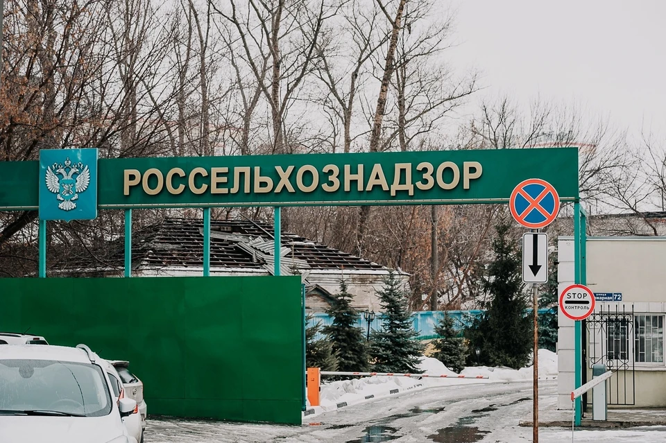 Множество нарушений выявили специалисты Россельхознадзора на предприятии по переработке рыбы. Фото: Вячеслав КОВАЛЕНКО